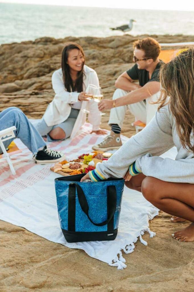 Picnics