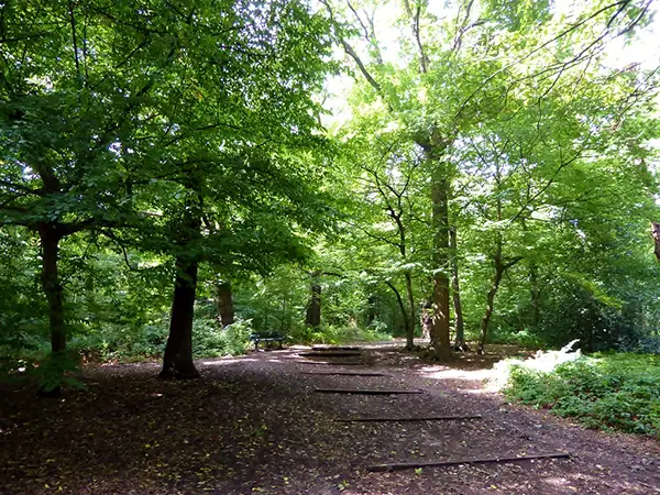 ueen’s Wood