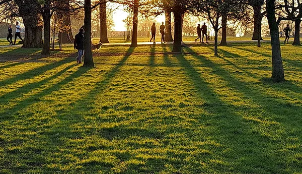 Brockwell Park image