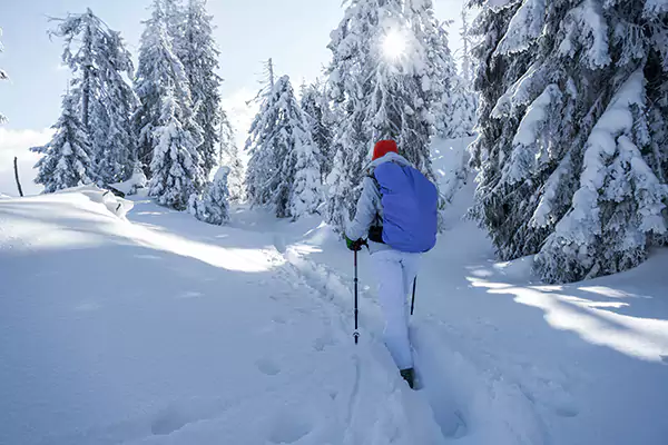 snowshoeing