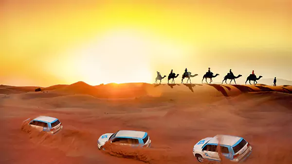 Desert Safari