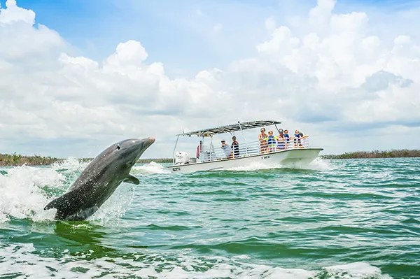 Marco Island Dolphin Tour 