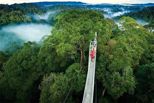 Monteverde Cloud Forest Biological Reserve