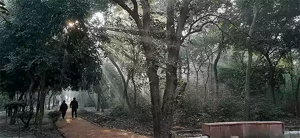 Deer-Park-Near-Hauz-Khas-Delhi