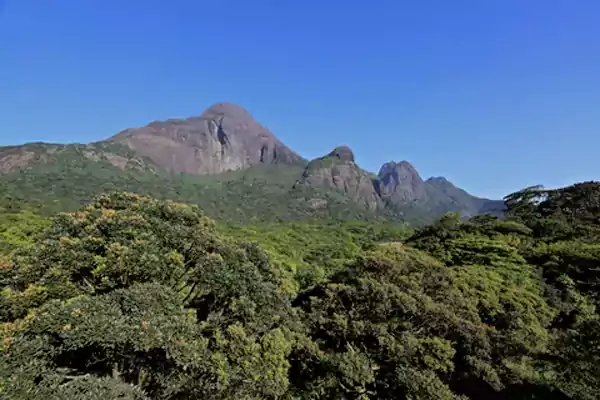 Ponmudi Hills Attraction c