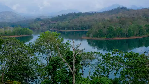 Ponmudi Hills Attraction