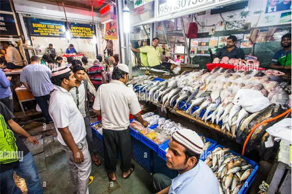 Seafood and meat at INA 