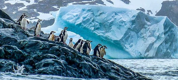 Antarctica