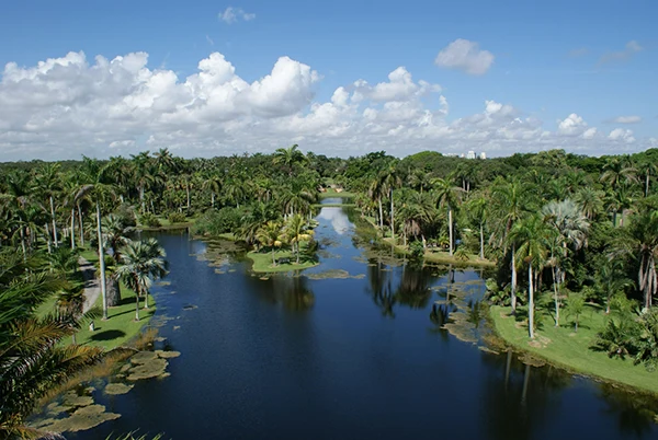 Fairchild Tropical Gardens