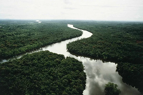  The Amazon River