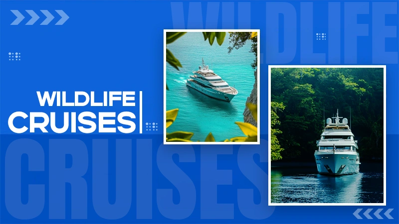 wildlife cruises