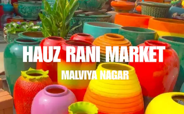 Mauz Rani MARKET