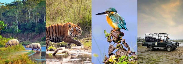 Wildlife and Nature Tours