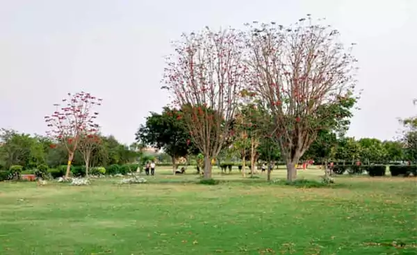 Japanese Park in Delhi