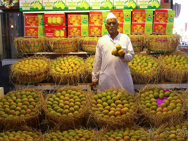 Manish Market Mumbai Maharashtra