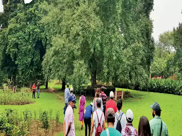 Buddha garden Delhi