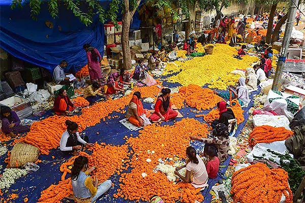 Ghazipur Phool Mandi