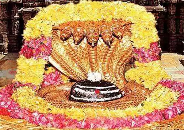 Sri bhramaramba mallikarjuna swamy varla devasthanam