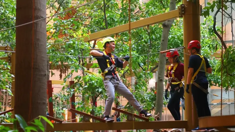 d-Thrilling Treetop Escapades in Malaysia 