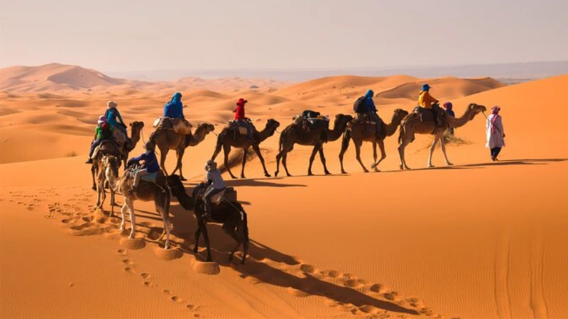 d-Morocco Tours with Tilila Travel